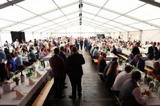 Festzelt - 80 Jahre RINGER Firmenjubiläum